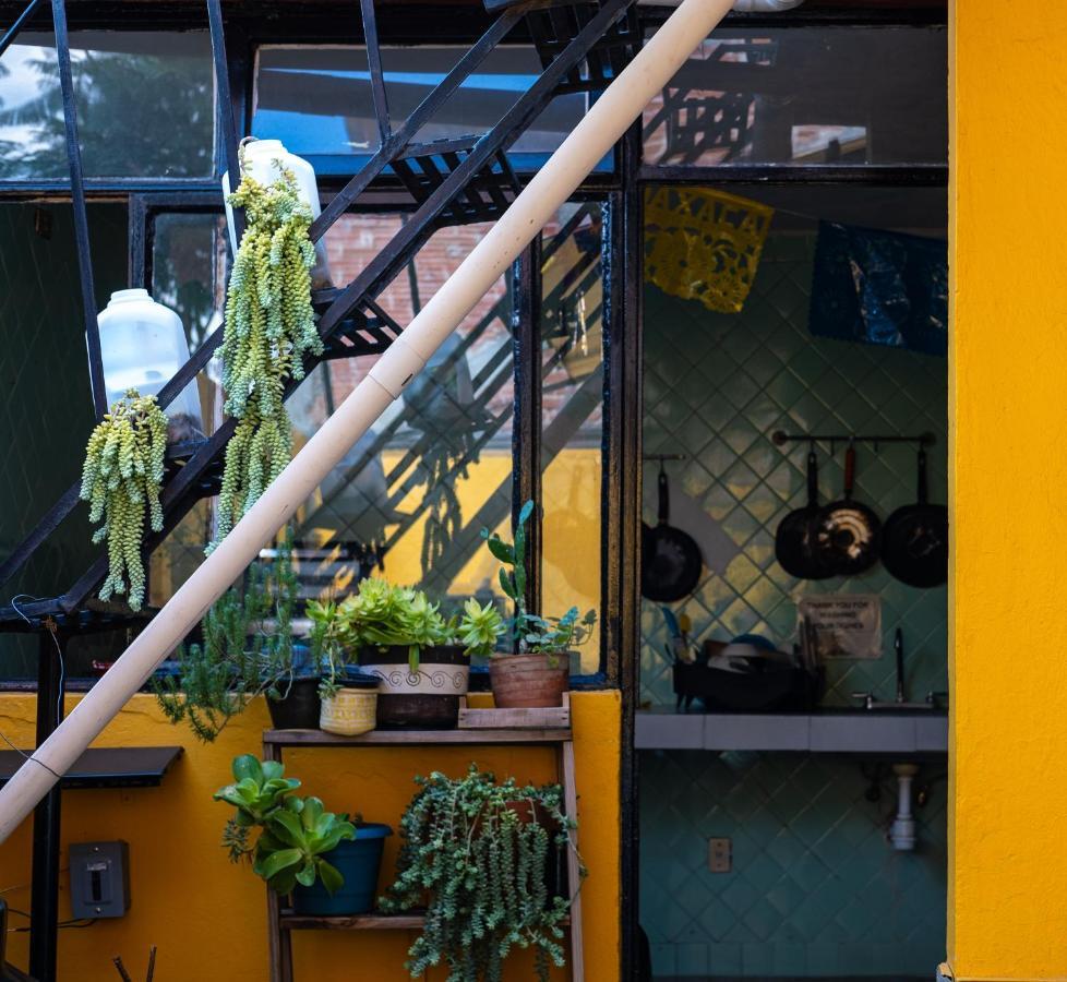Oaxaca Hostal Pochon المظهر الخارجي الصورة