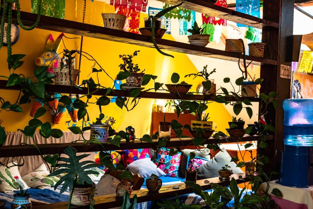 Oaxaca Hostal Pochon المظهر الخارجي الصورة