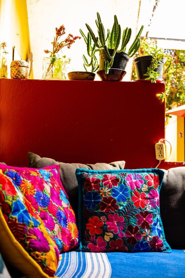 Oaxaca Hostal Pochon المظهر الخارجي الصورة
