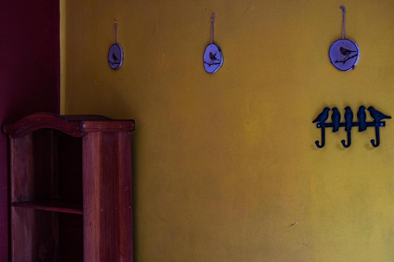 Oaxaca Hostal Pochon المظهر الخارجي الصورة