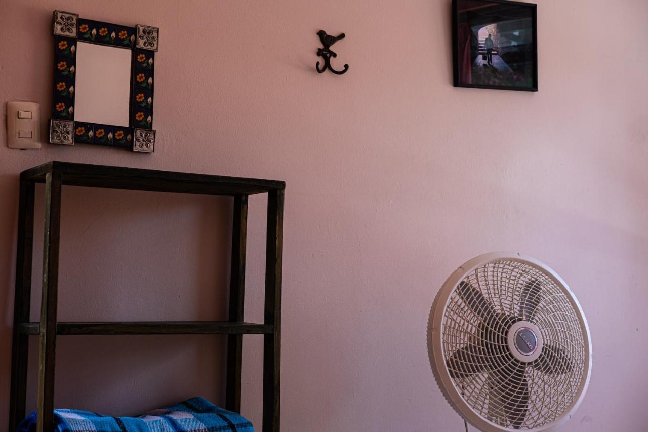 Oaxaca Hostal Pochon المظهر الخارجي الصورة